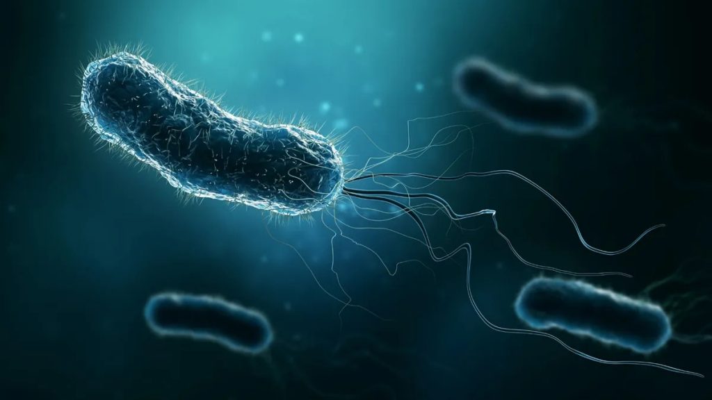 محققان پس از 50 سال فهمیدند باکتری‌ها چگونه حرکت می‌کنند