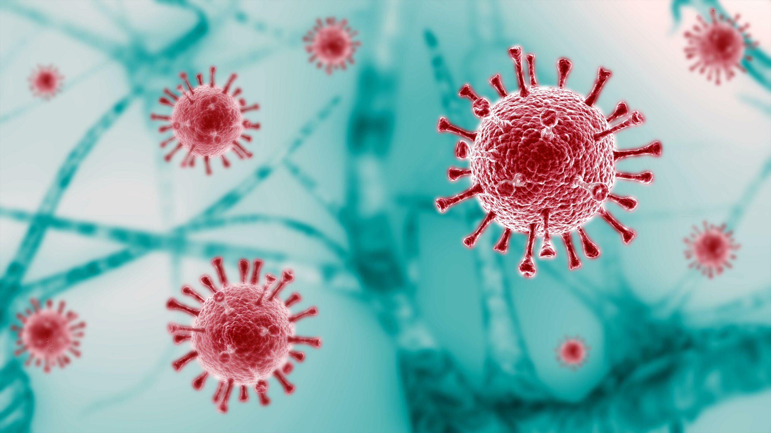 ویروس کرونا در کل بدن پخش می‌شود, محصولات استوک | لپ تاپ استوک